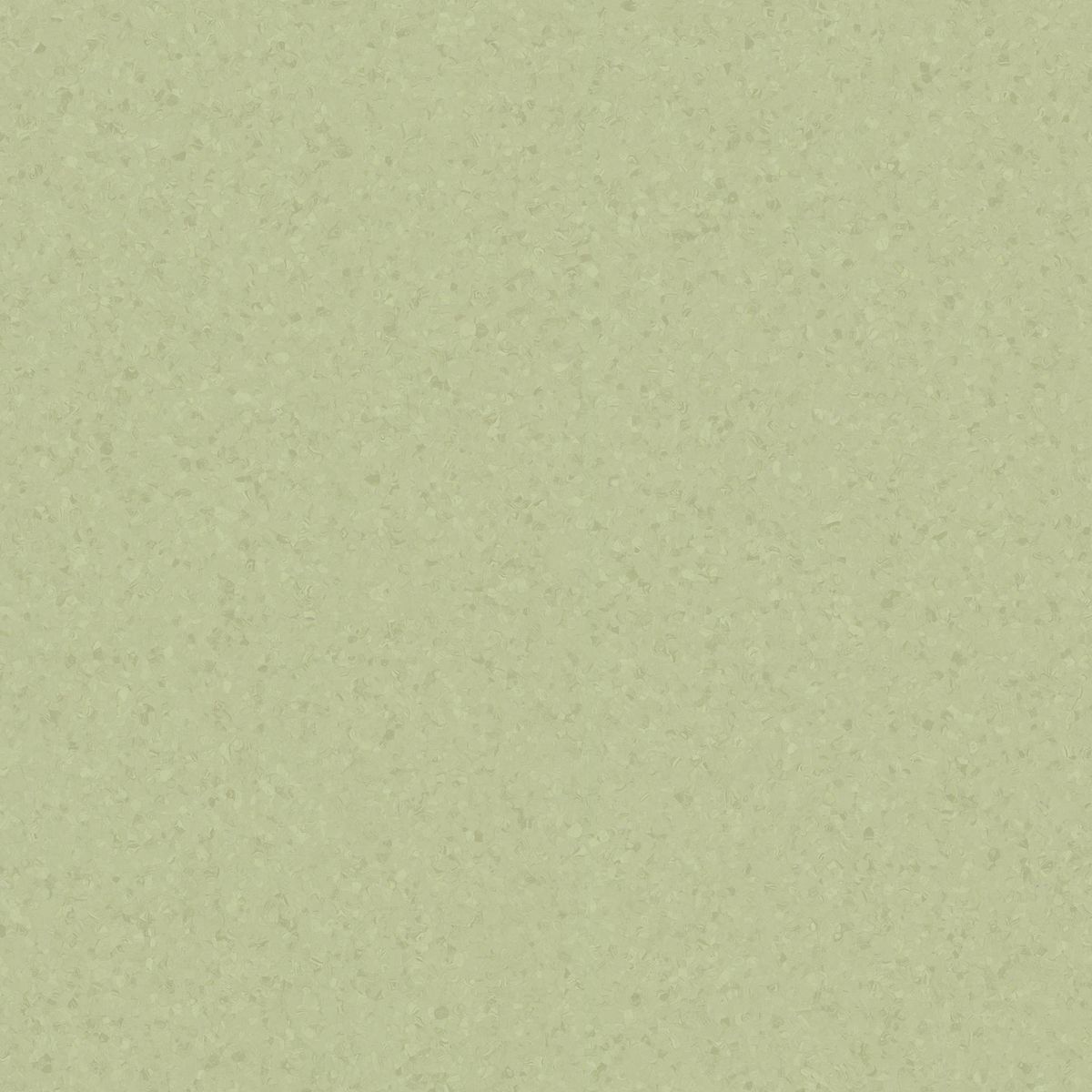 Eclipse Premium Eclipse LIGHT OLIVE GREEN 0769