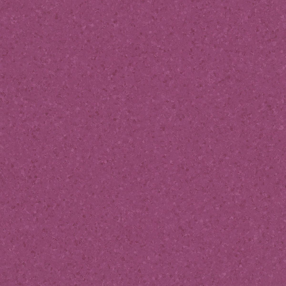 Eclipse Premium Eclipse RED PURPLE 0776