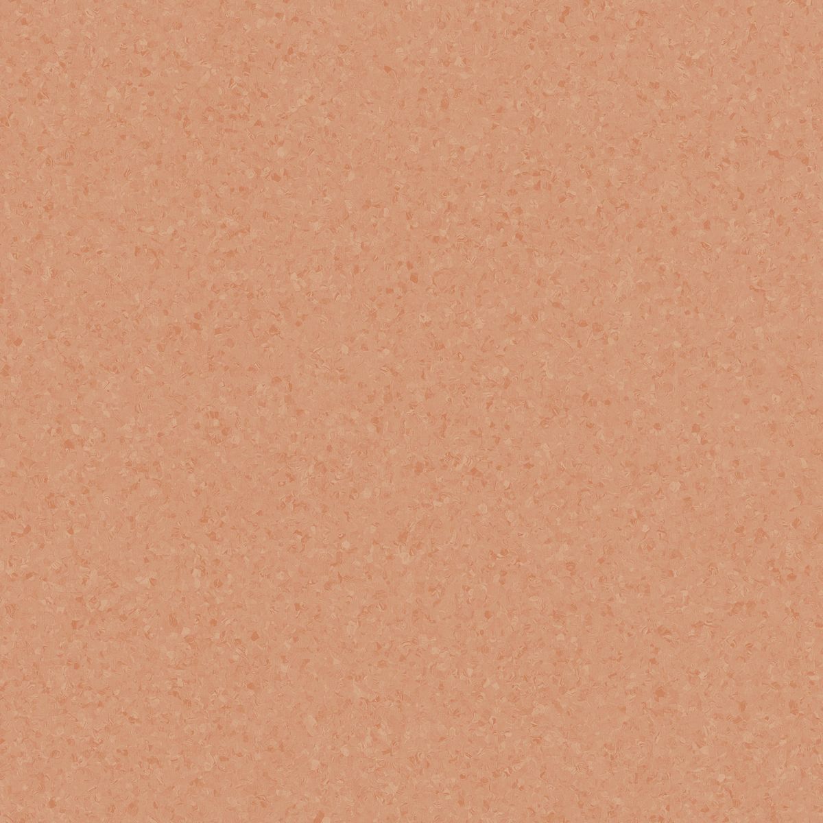 Eclipse Premium Eclipse ORANGE 0784