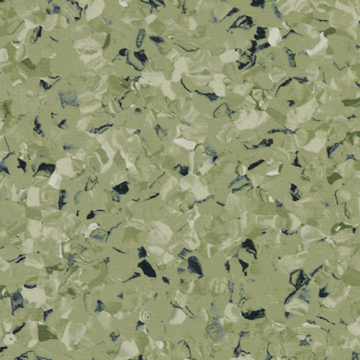 iQ Toro SC Toro GREEN 0576