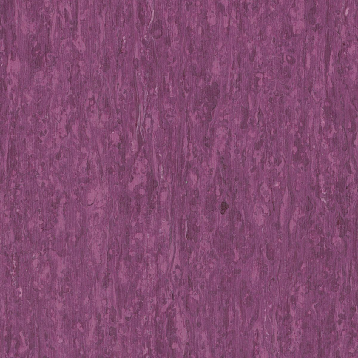 iQ Optima Optima PURPLE 0255