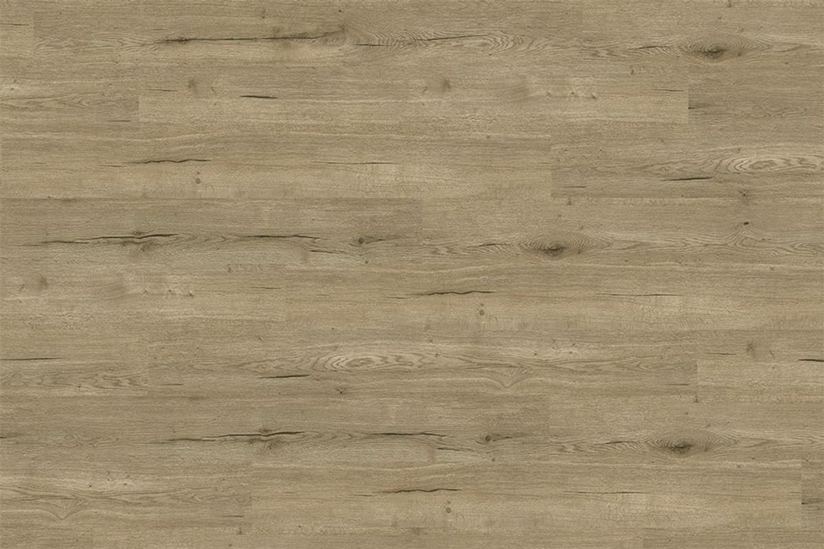 Apollo 1500 Pyrenees