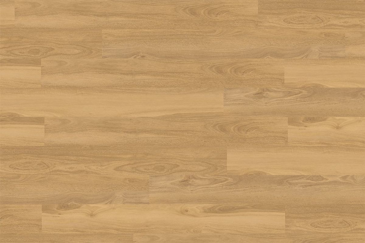 Apollo 1500 Alpine Gum