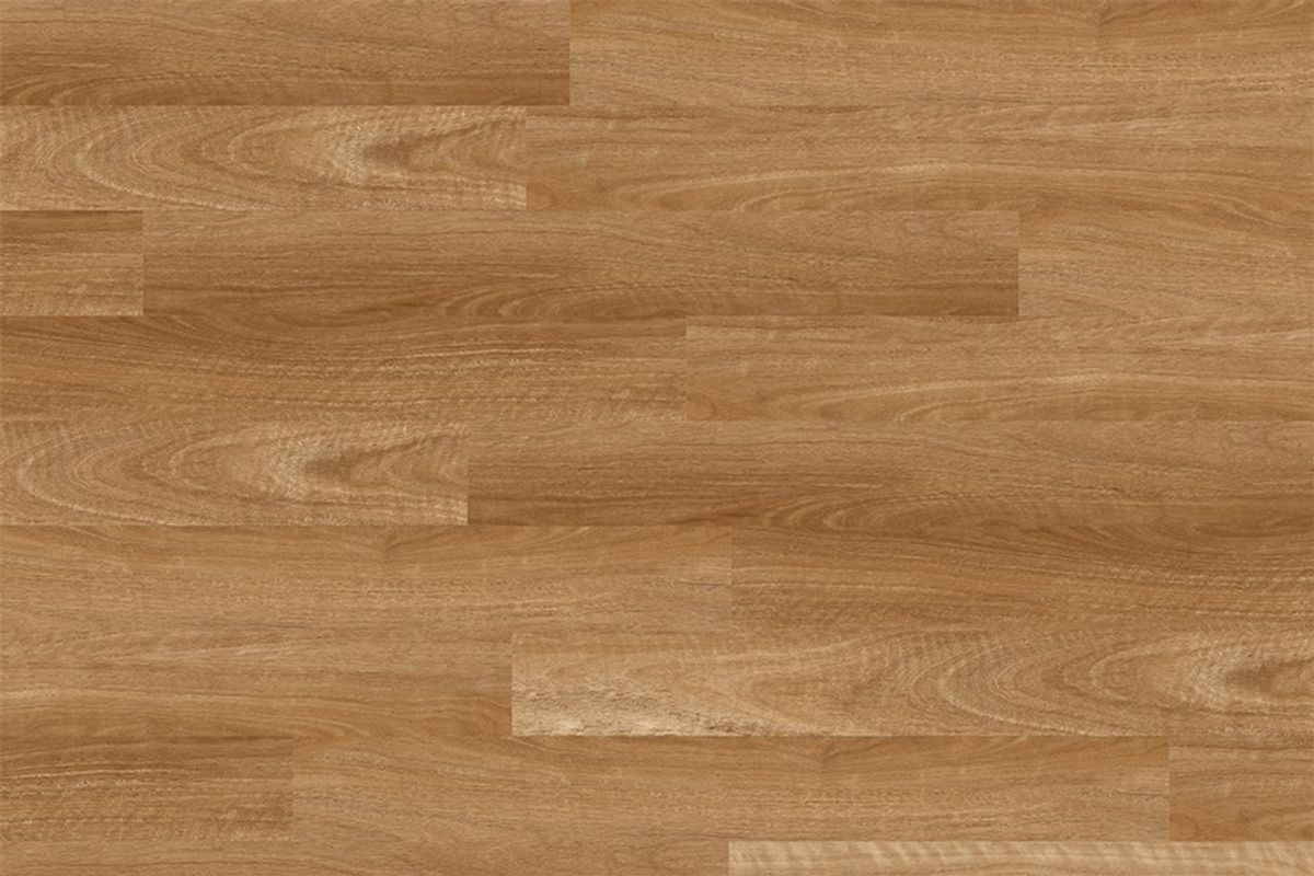 Apollo 1500 Spotted Gum