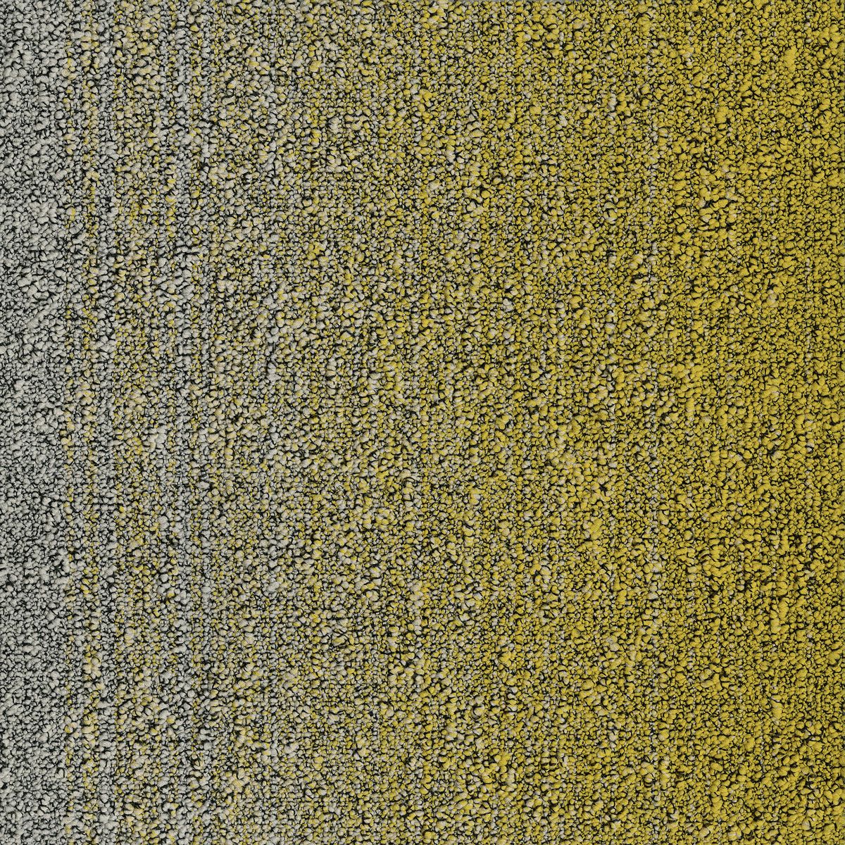 Fuse Create Desso Fuse B755 2014