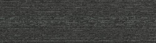 Canyon (QuietBack) Cocklebur CA05