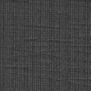 Flinders (QuietBack) Shale Outcrop FL05