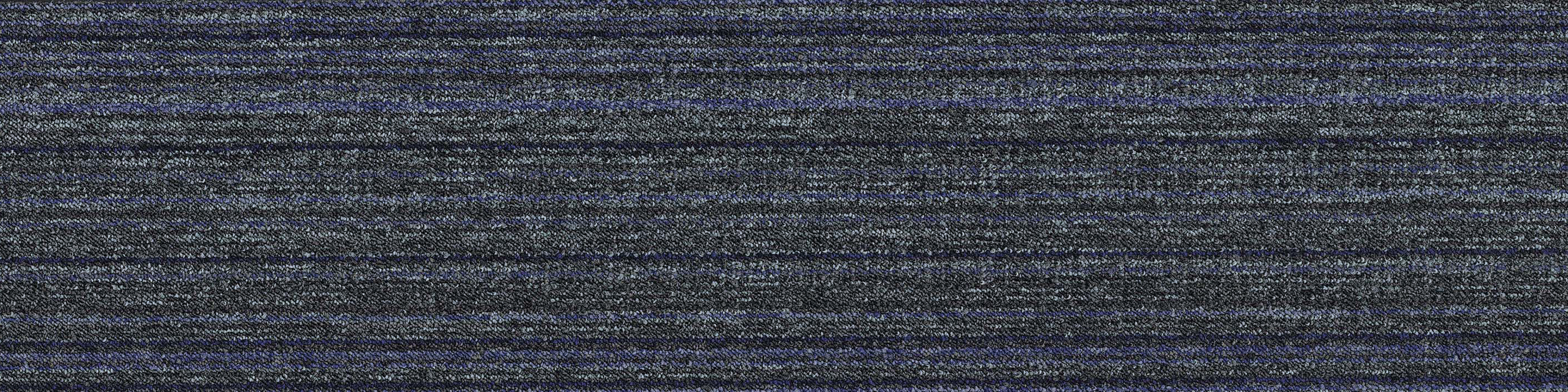 Canyon (QuietBack) Oasis CA04