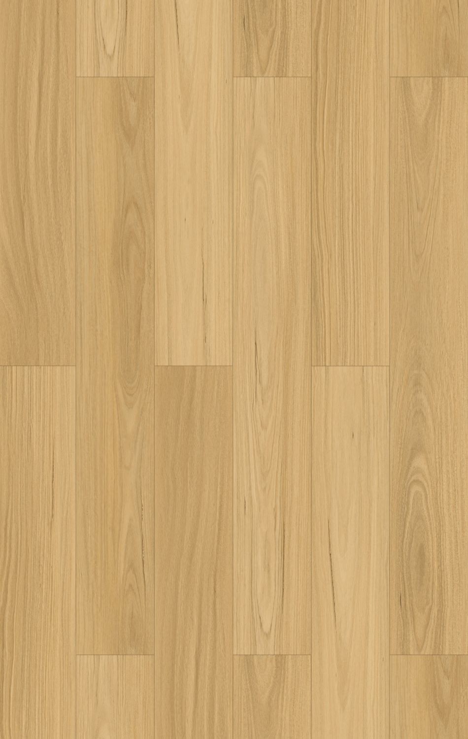 Laminate AC5 Hydromate Rustic Blackbutt 12107