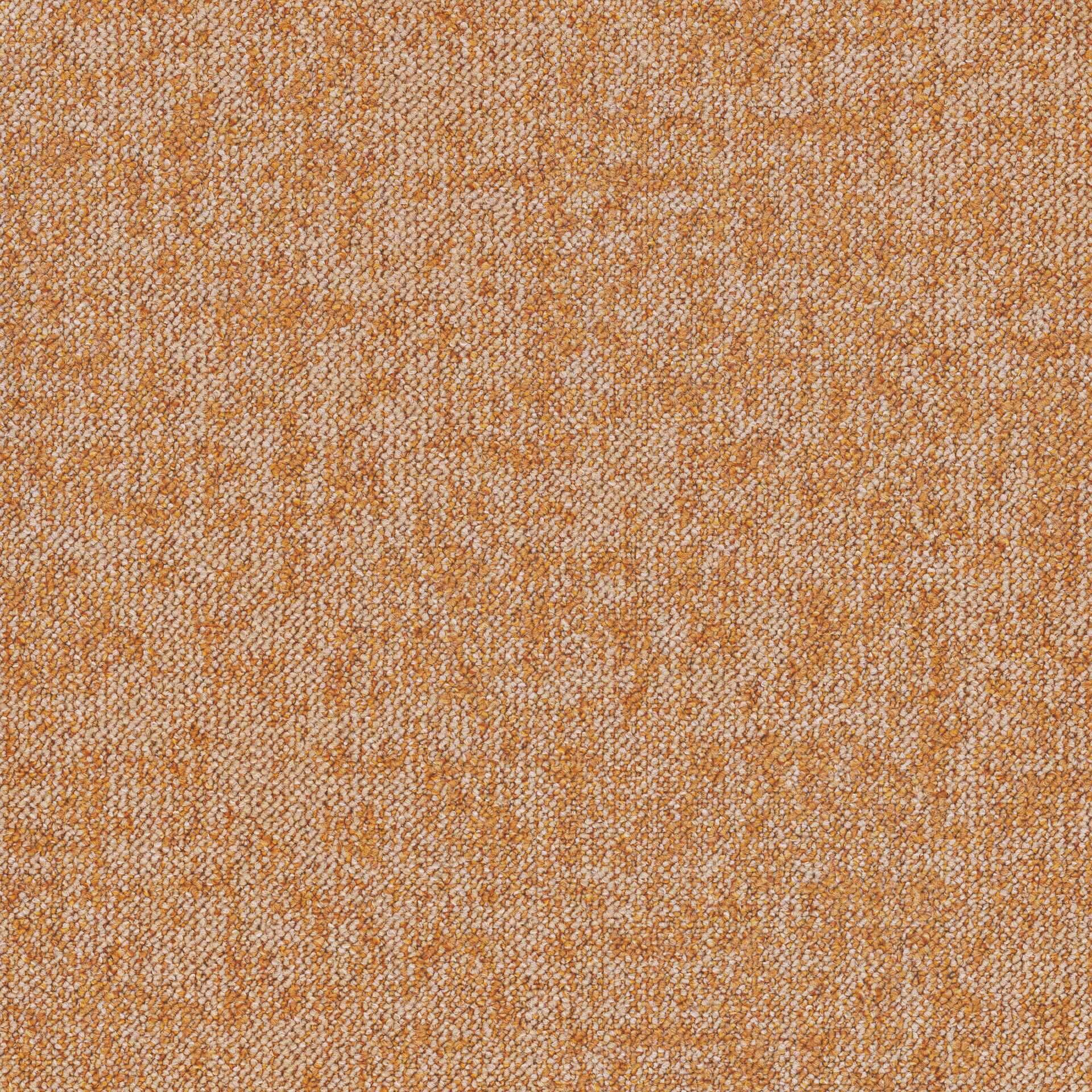 Essence Roots DESSO ESSENCE ROOTS  AD08 5412-V