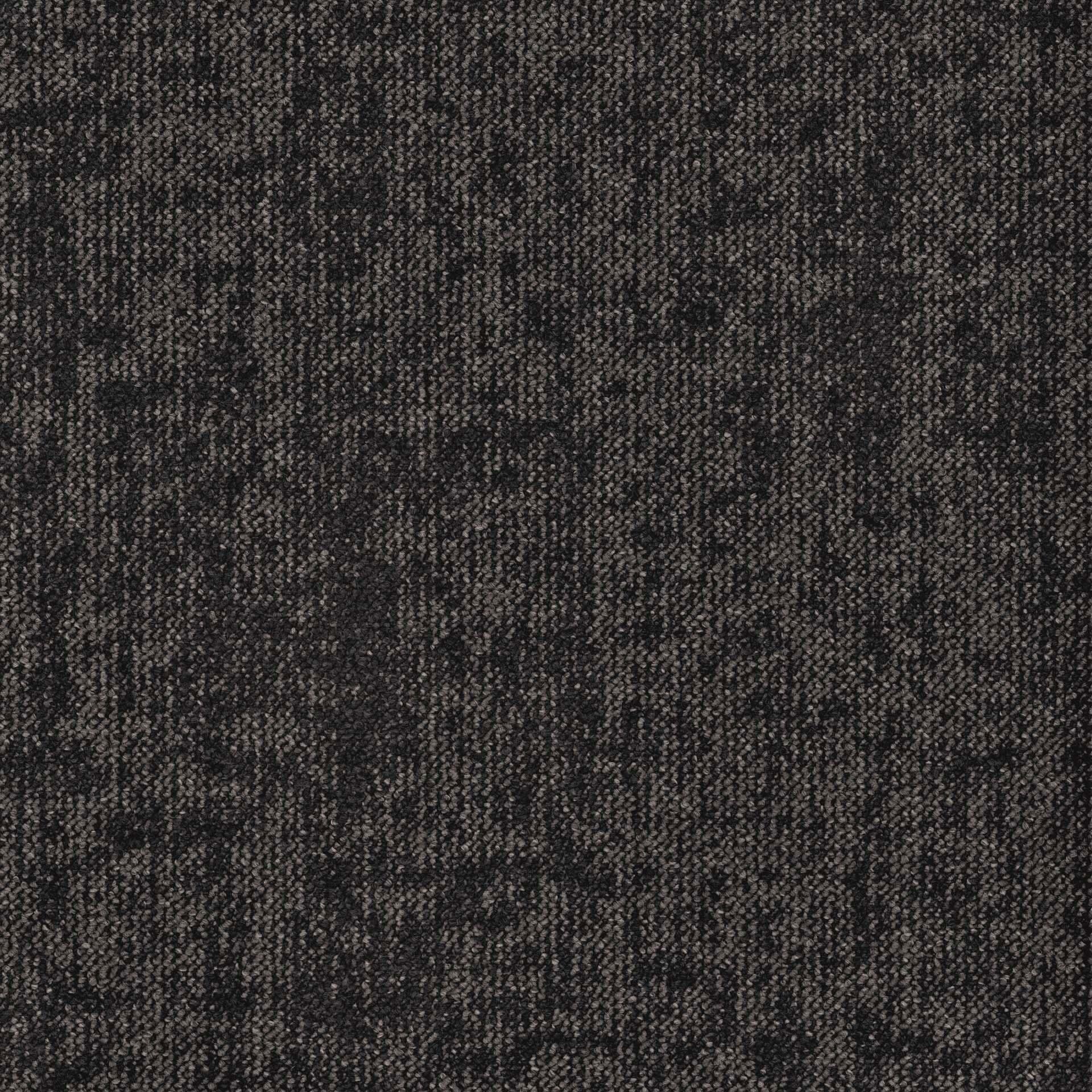 Essence Roots DESSO ESSENCE ROOTS  AD08 9851