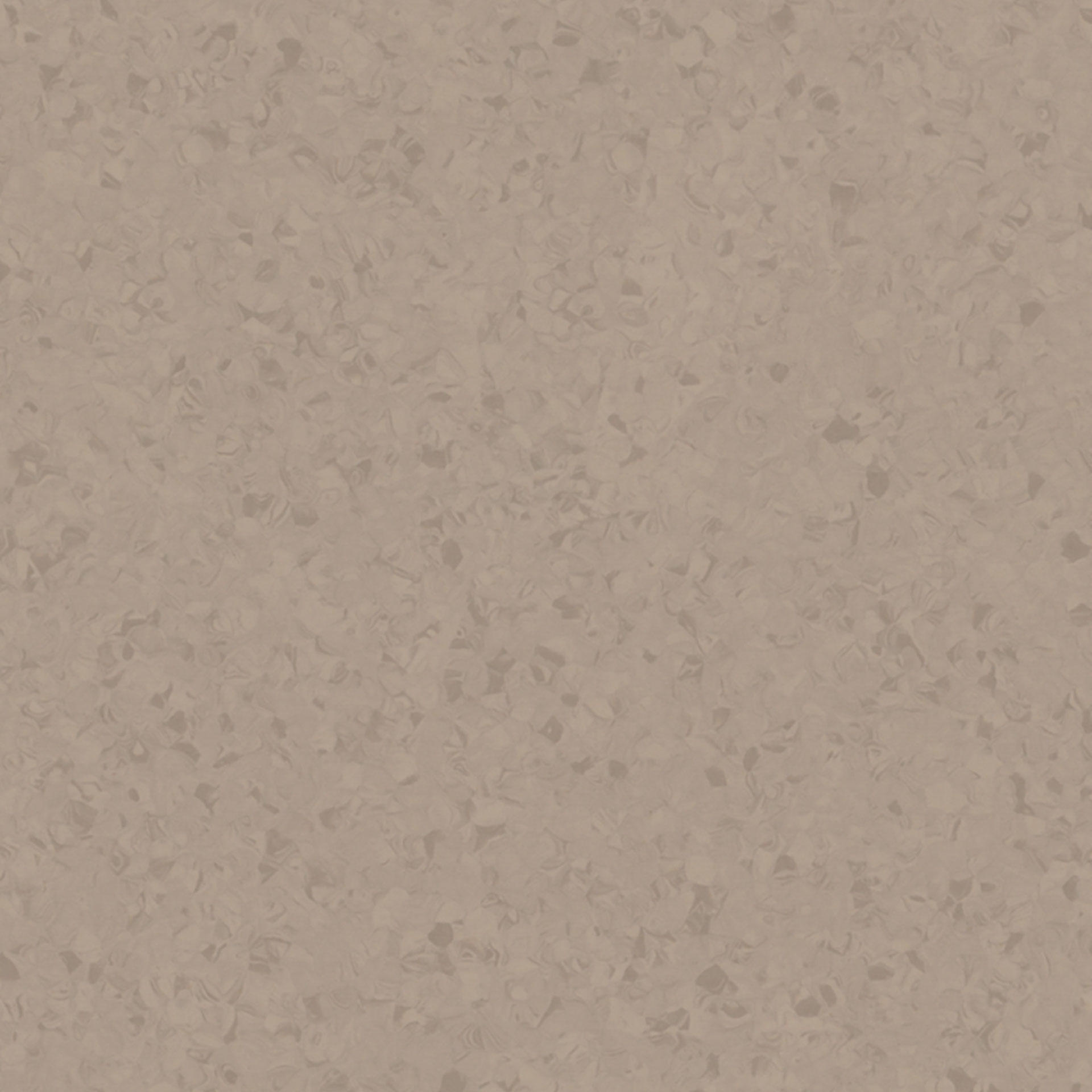 iQ Surface Surface SOLID POWDER 095