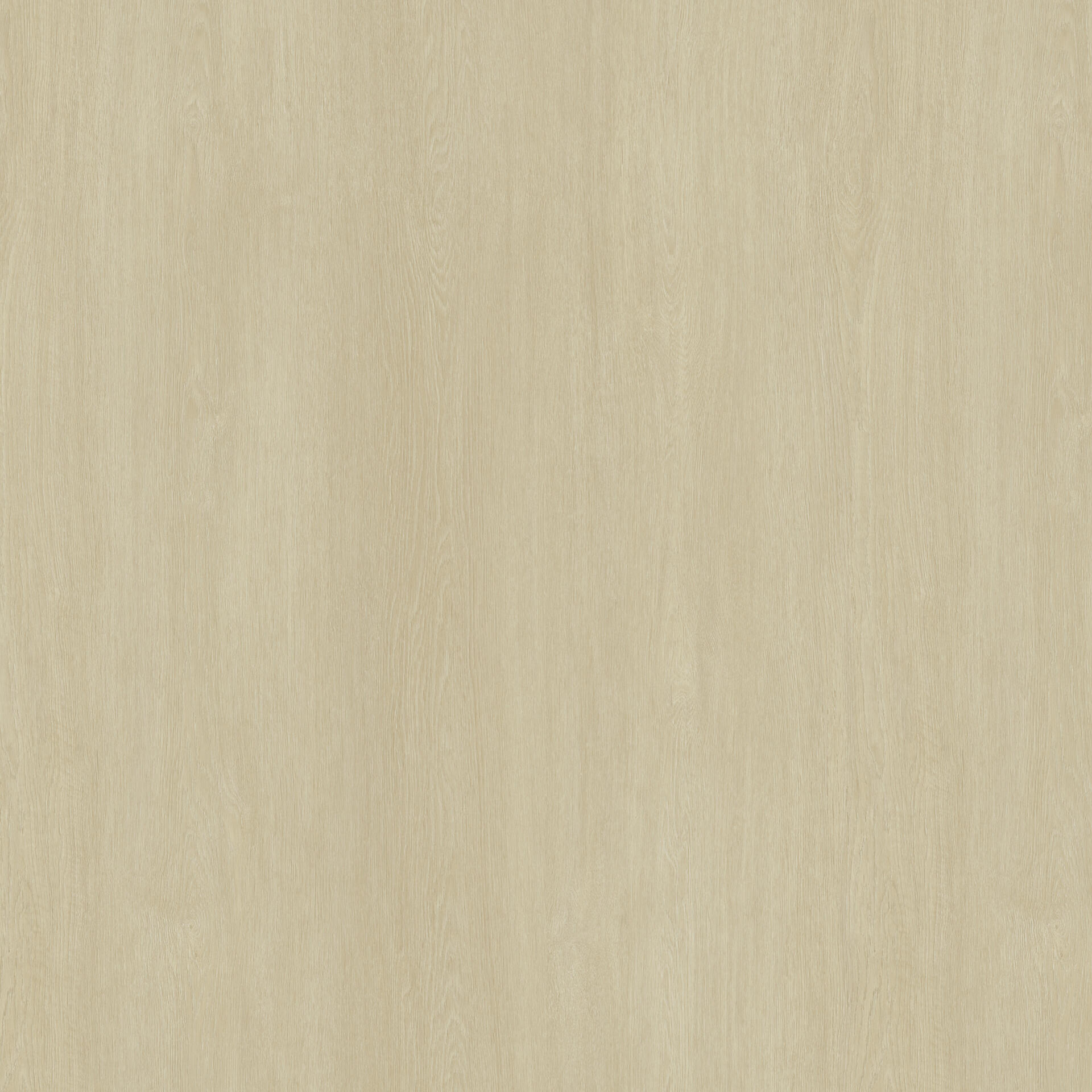 Acczent Excellence Compact+ Oak Tree BEIGE