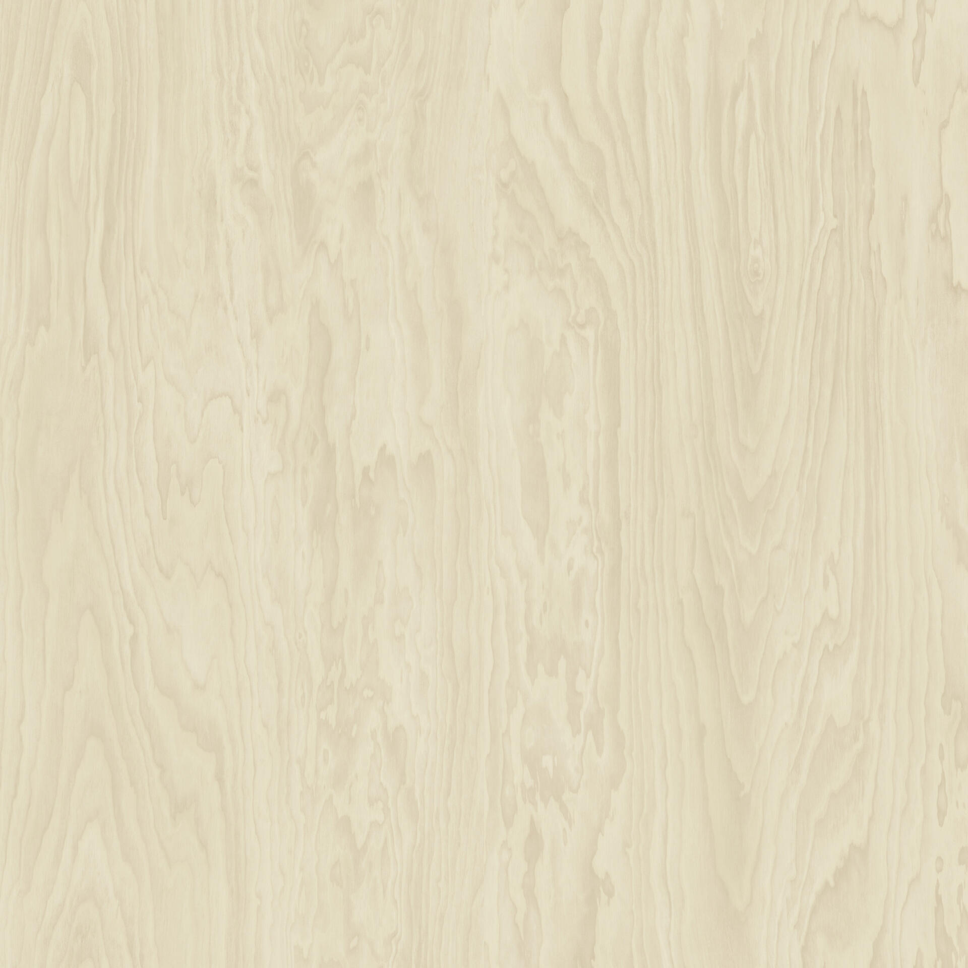 Acczent Excellence Compact+ Plywood NATURAL