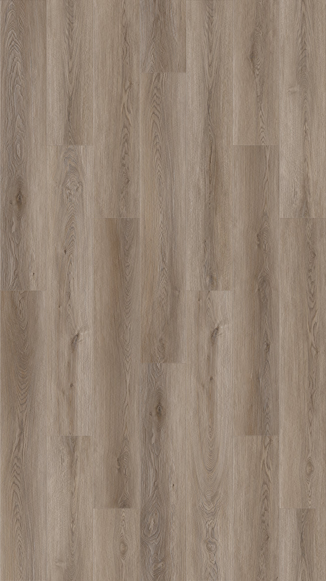 Queenstown 1.2 Wellington