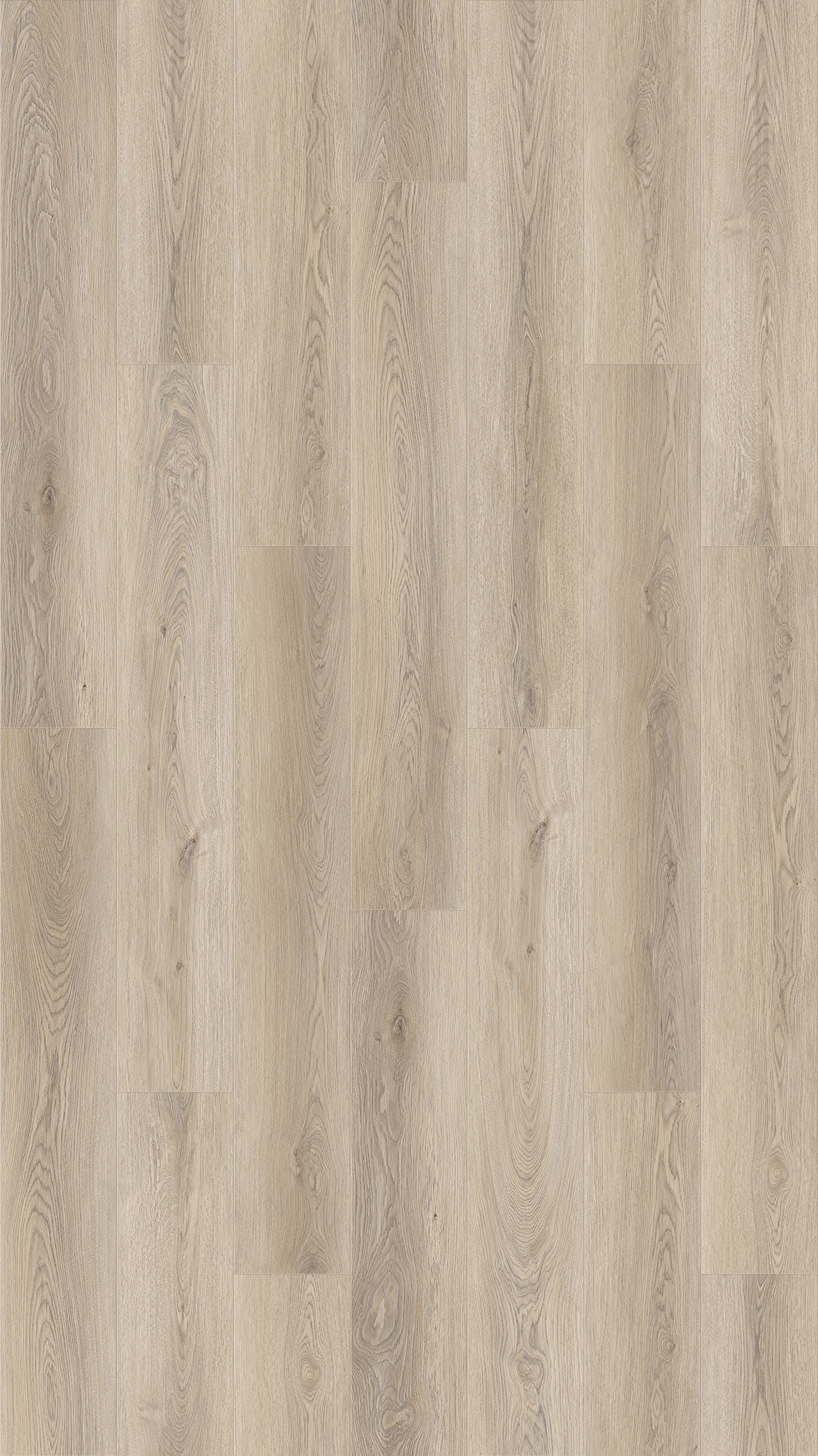 Queenstown 1.2 Mount Eden