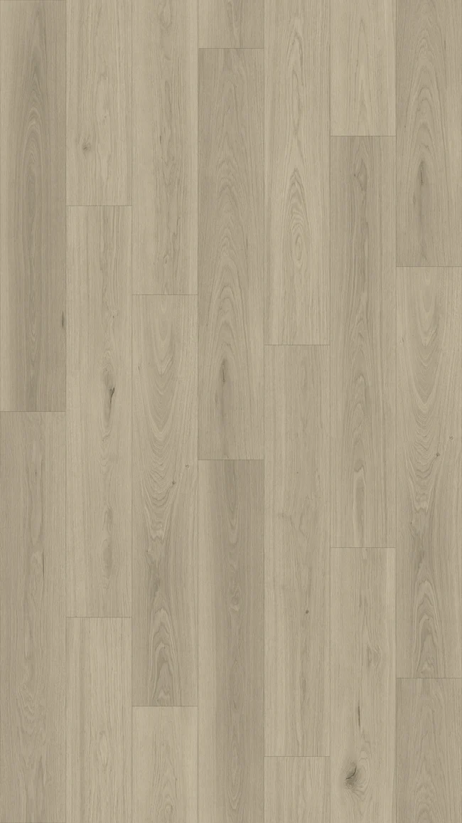 Queenstown 1.2 Arrowtown