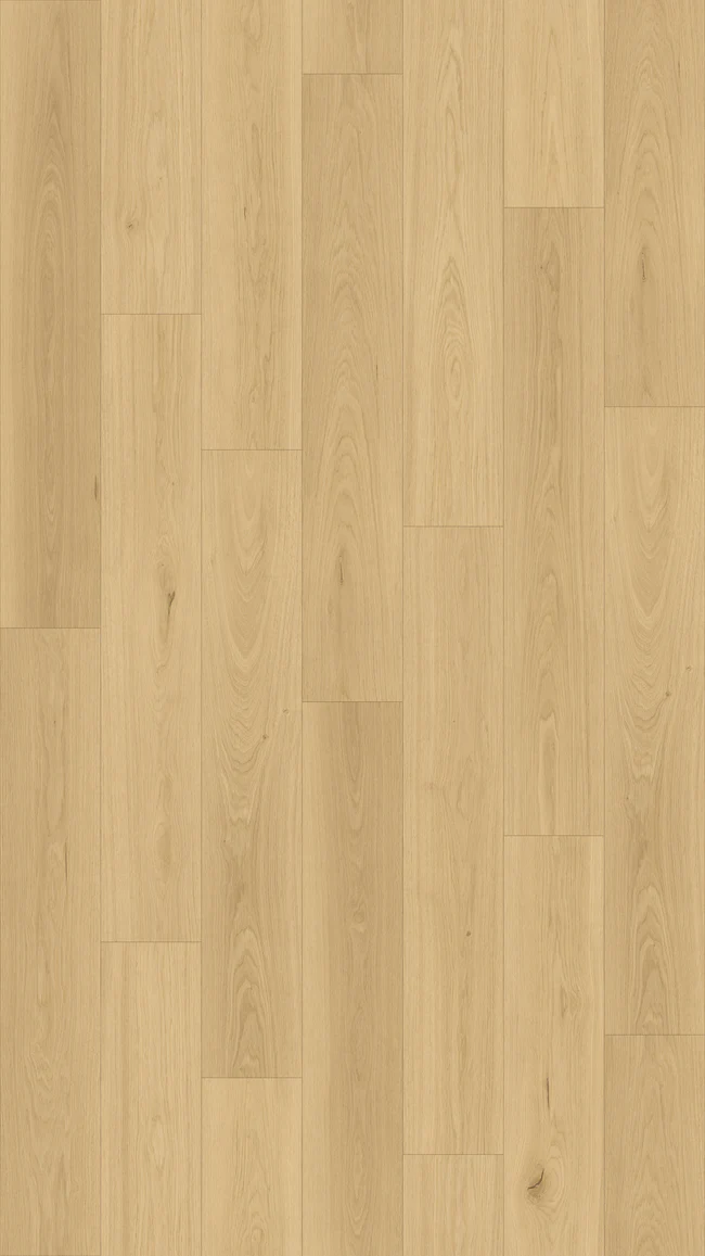 Queenstown 1.2 Sandy Point