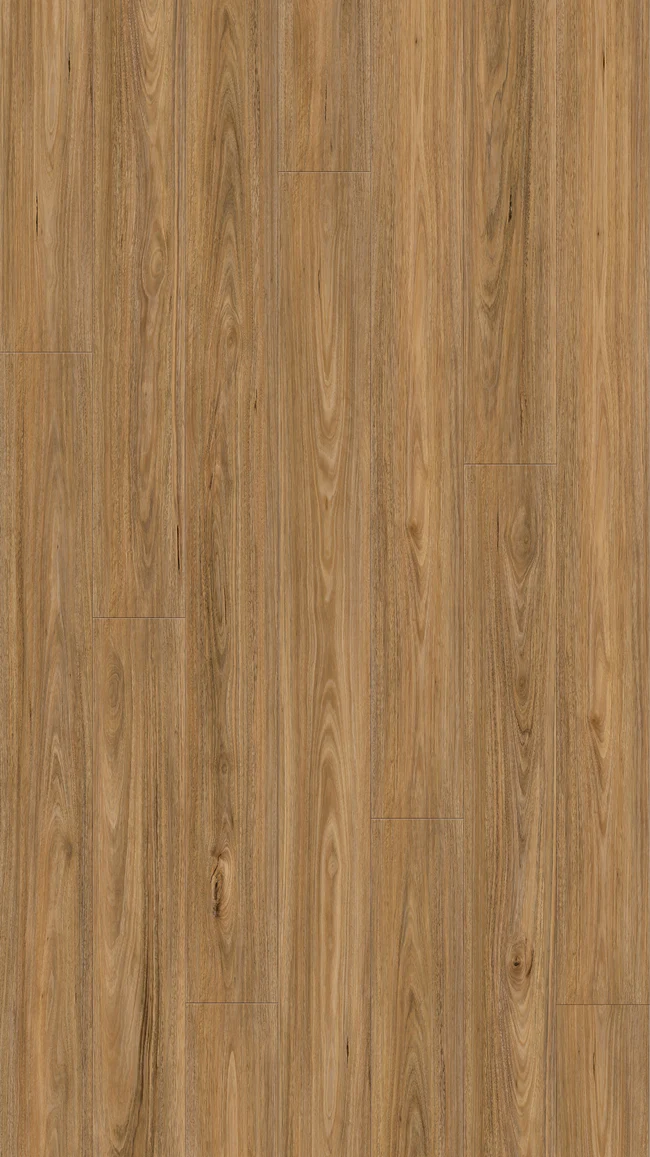 Queenstown 1.2 Spotted Gum