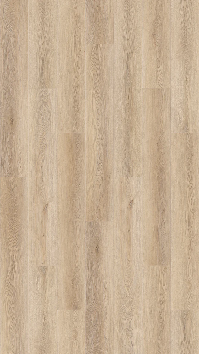 Queenstown 1.2 Mount Cook