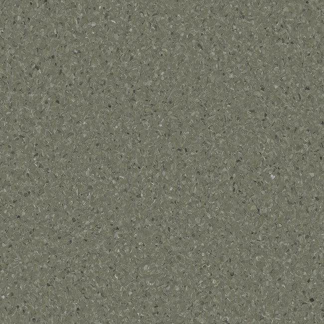 Accolade Safe Mangrove