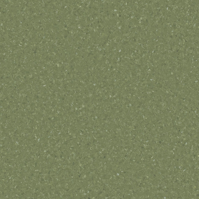 Accolade Plus Springbrook