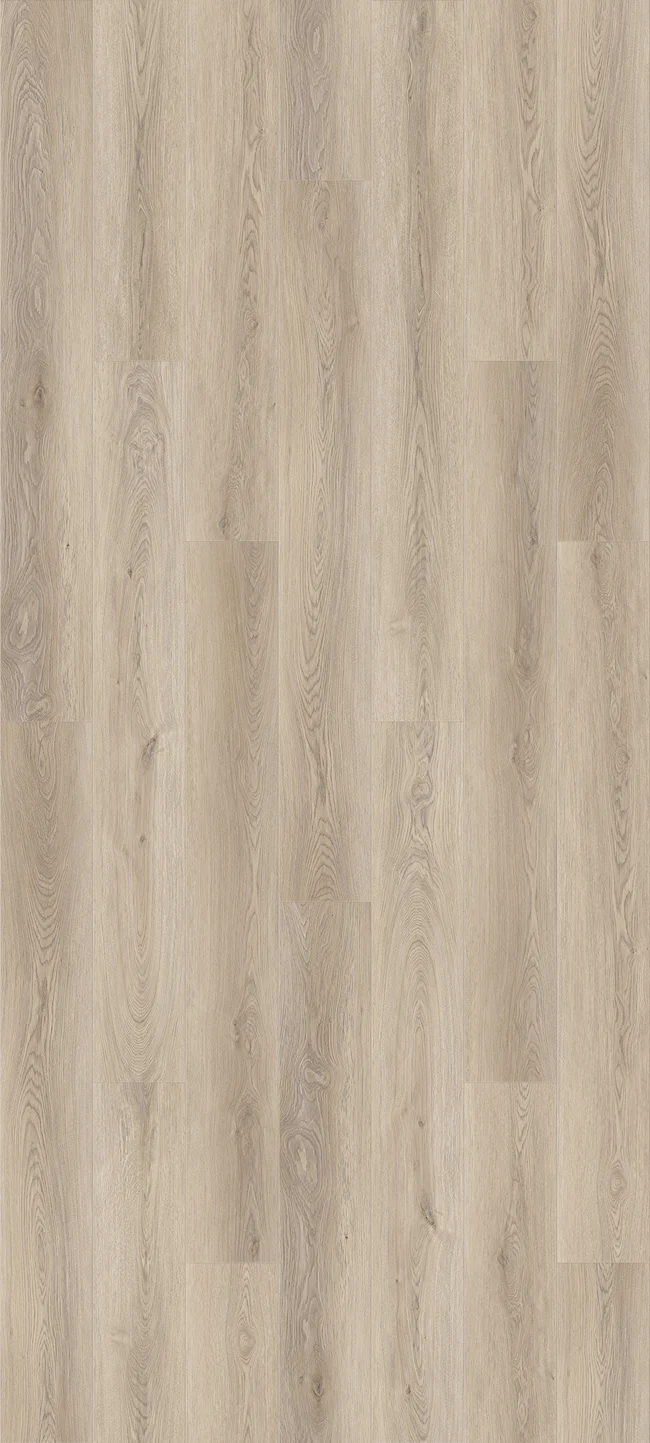 Queenstown 1.5 Mount Eden