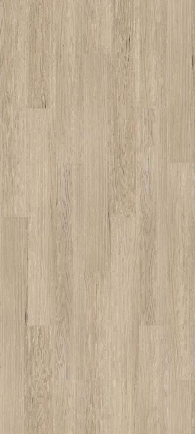 Queenstown 1.5 Newtown