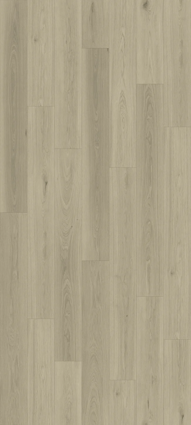 Queenstown 1.5 Arrowtown