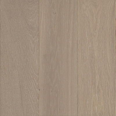 Aurora European Oak Moss